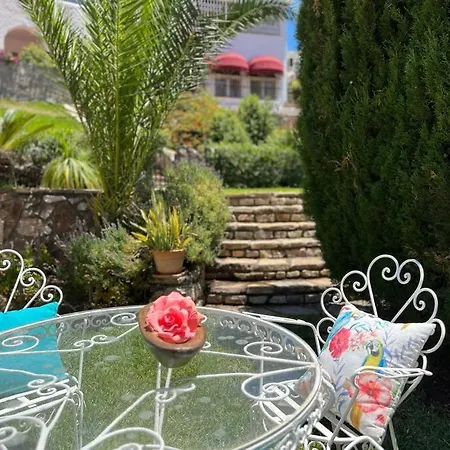 Coqueta Y Luminosa Casa Independiente *